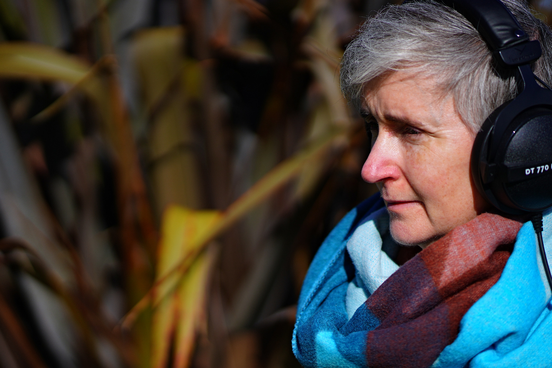 photo by John Godfrey